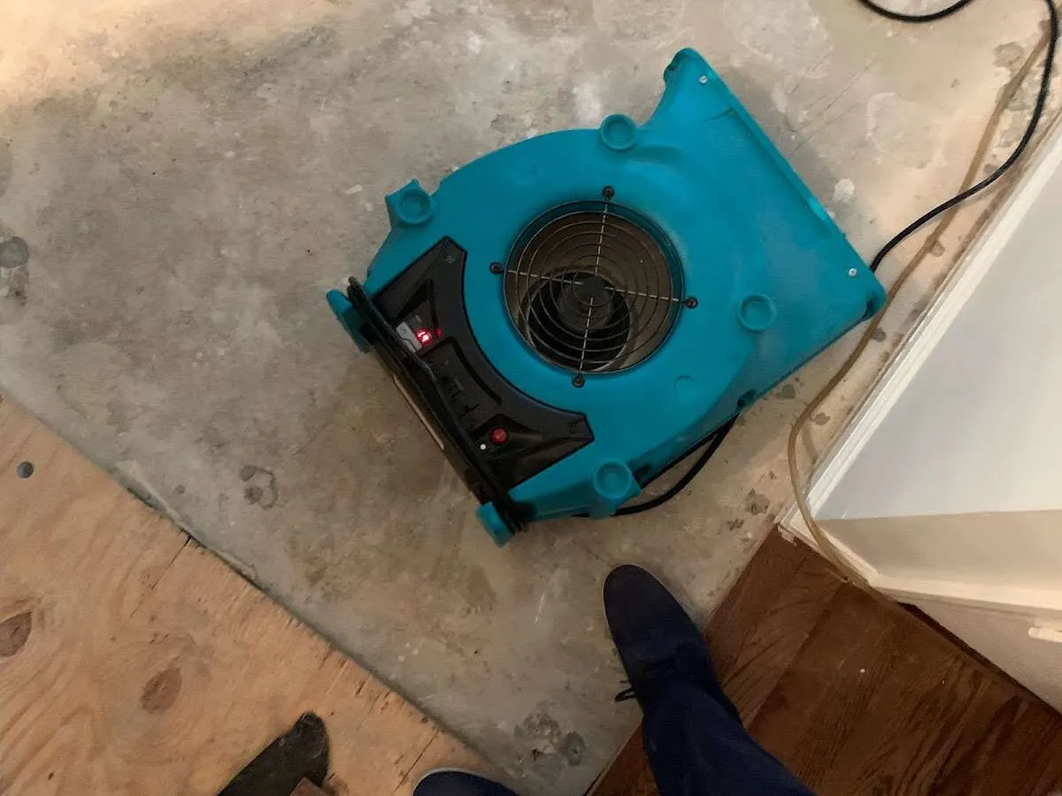 Air mover drying subfloor during Commercial Water Damage Restoration in Ulster